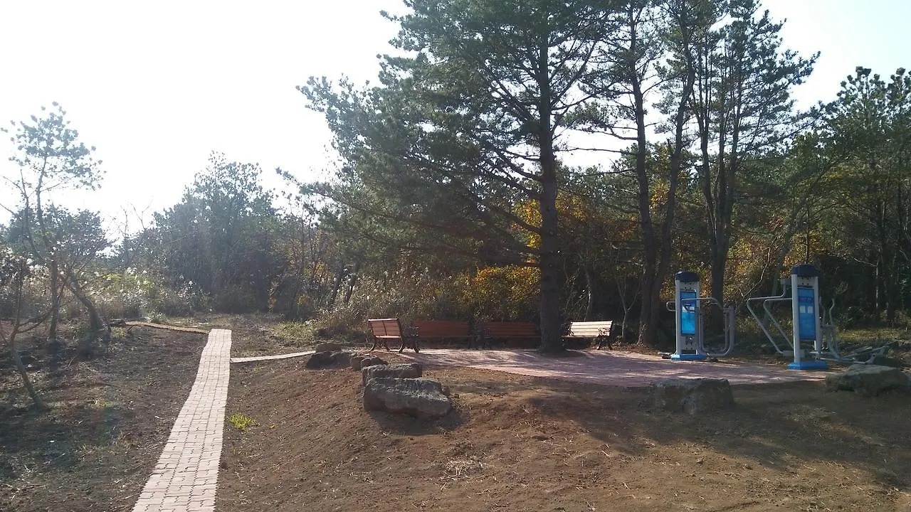 Jeju Youth Hostel Güney Kore