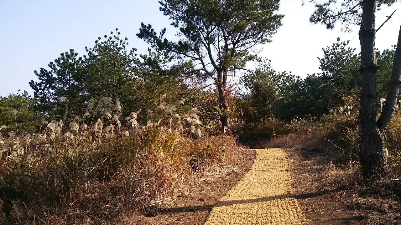 Jeju Youth Hostel