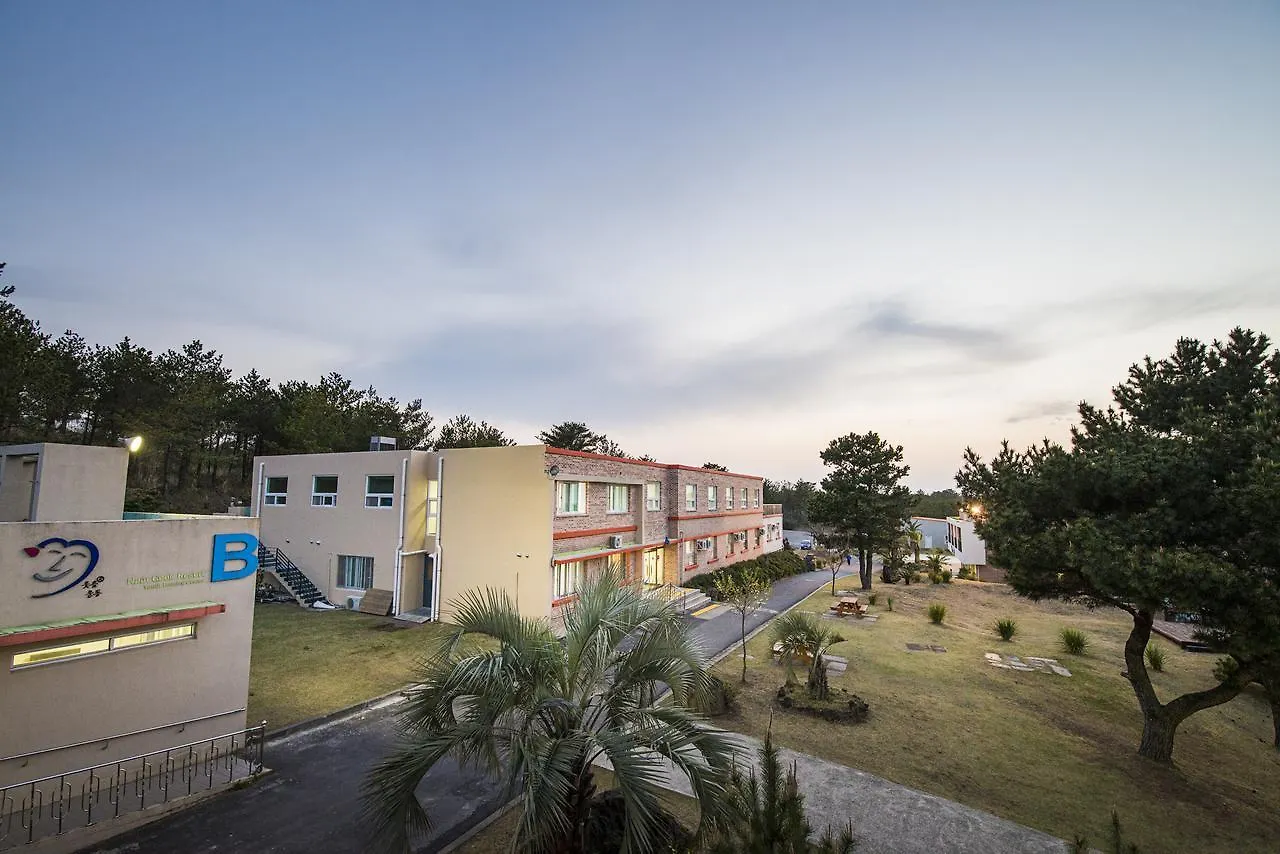 Jeju Youth Hostel