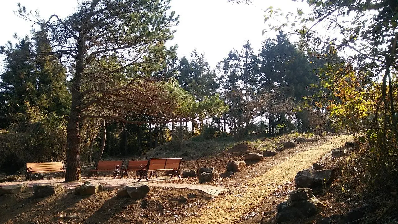 Jeju Youth Hostel