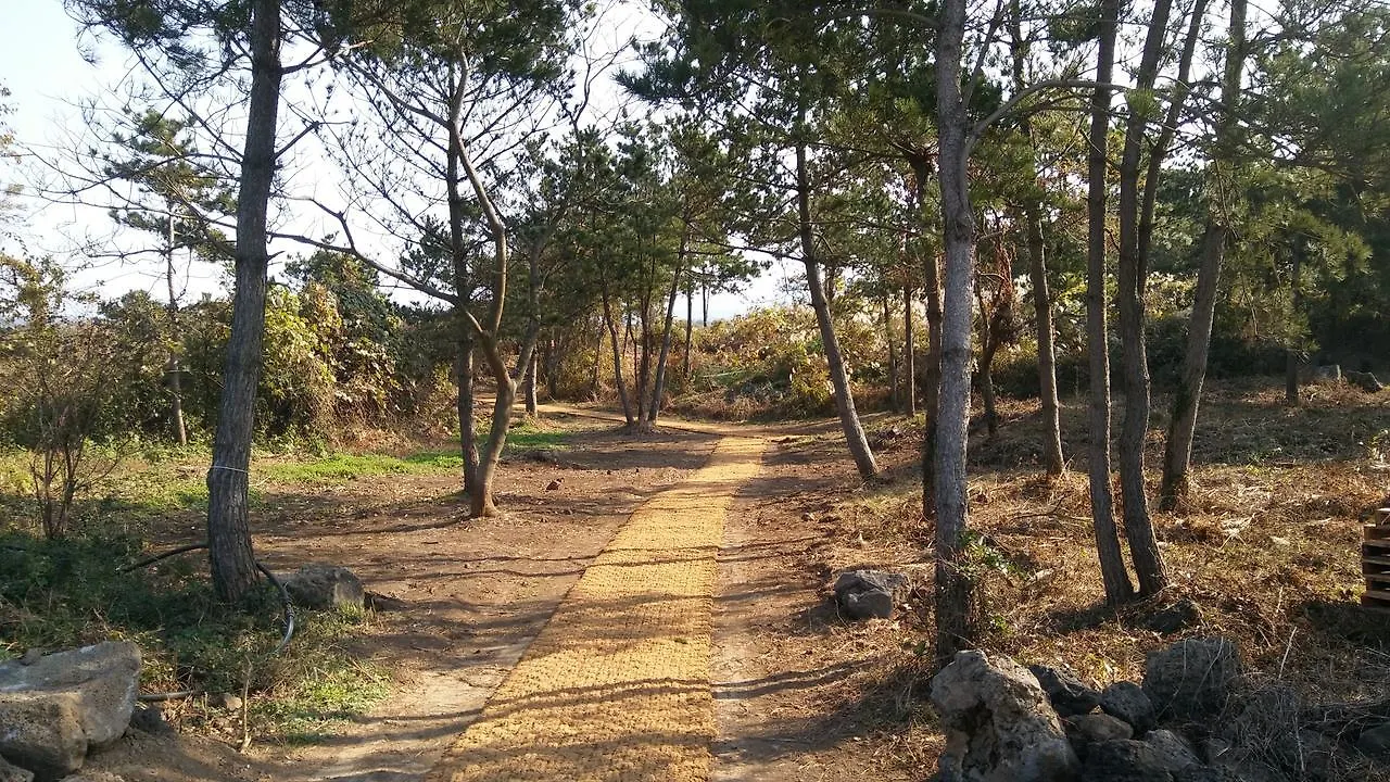 Jeju Youth Hostel
