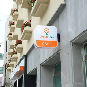 オレンジ ツリー ホテル